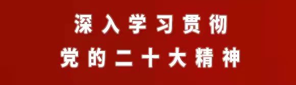 深入学习贯彻党的二十大精神