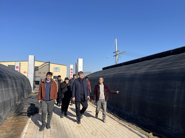 1704854464246787.jpg 222.jpg