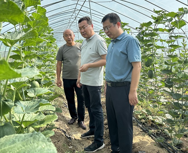 1723793011128578.jpg 33.jpg