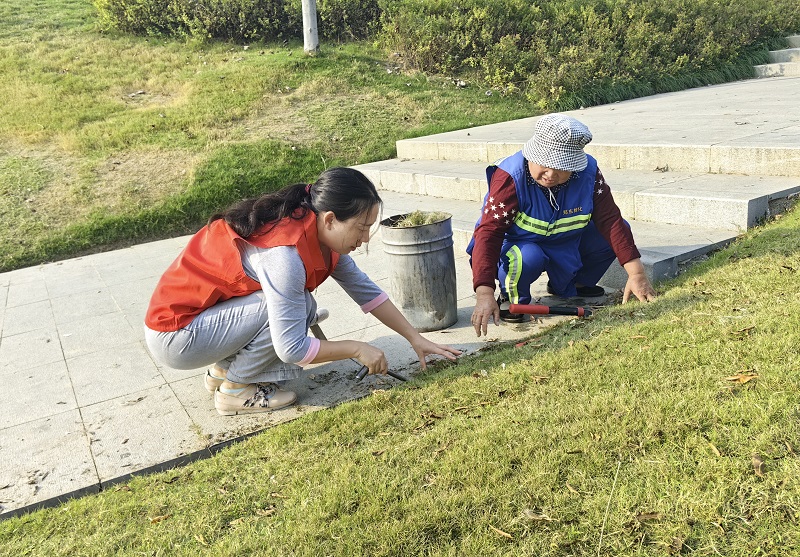 1733123537901214.jpg 微信图片_20241126145018.jpg